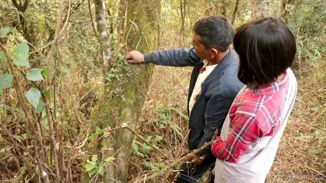 Bah Brodar with daughter in forest