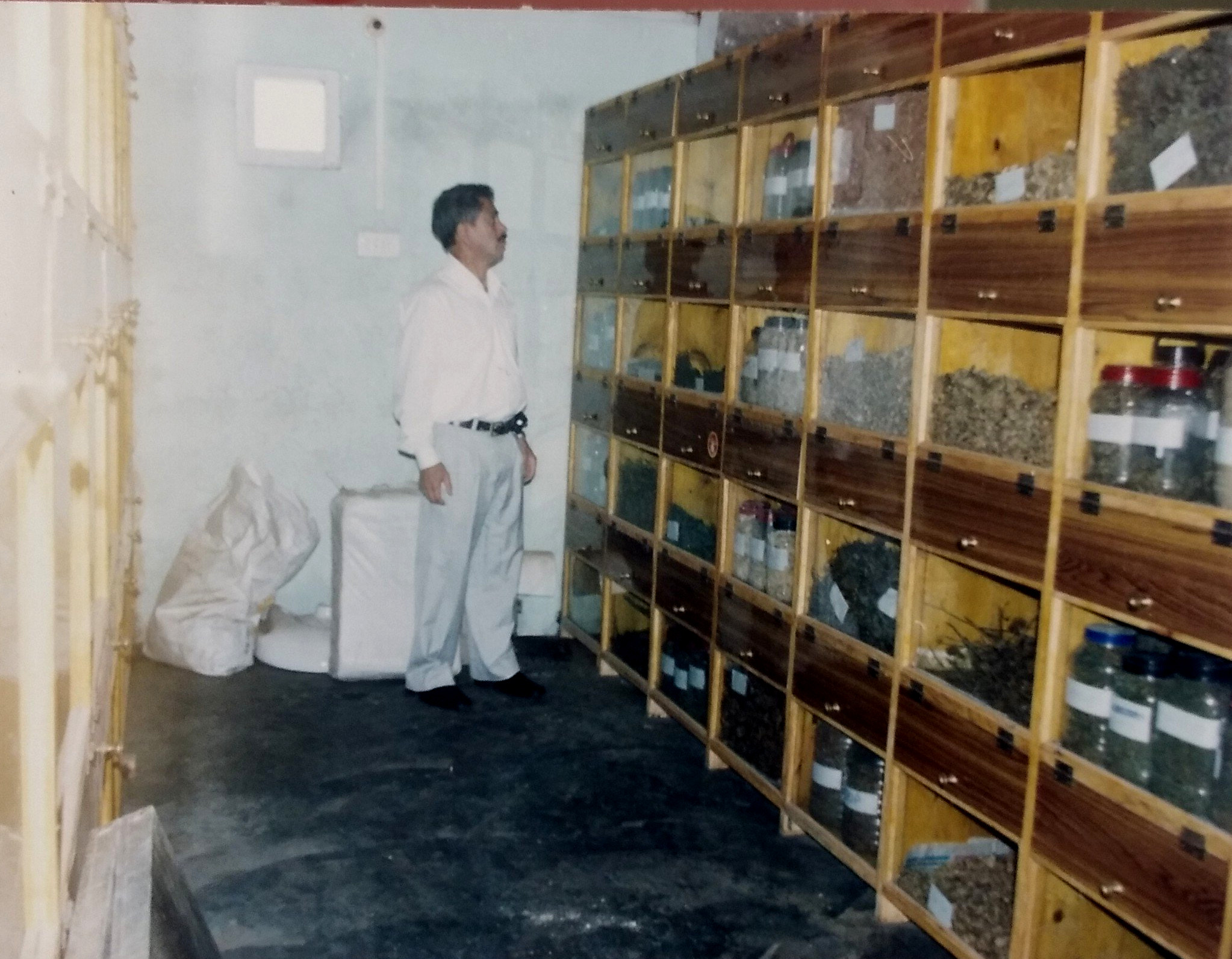 A person looking at shelves of collected plant materials