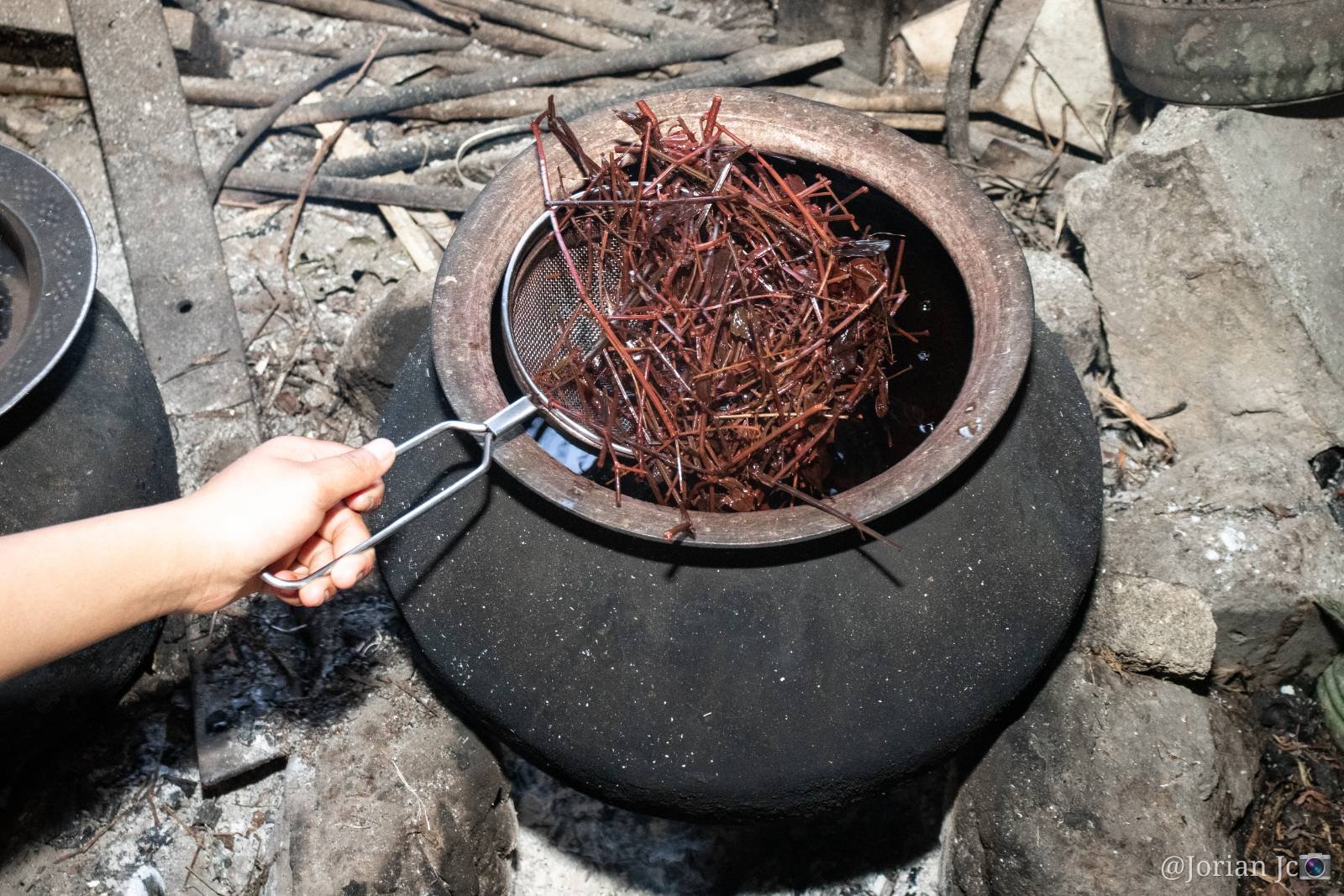 A person boiling stems used in traditional medicine